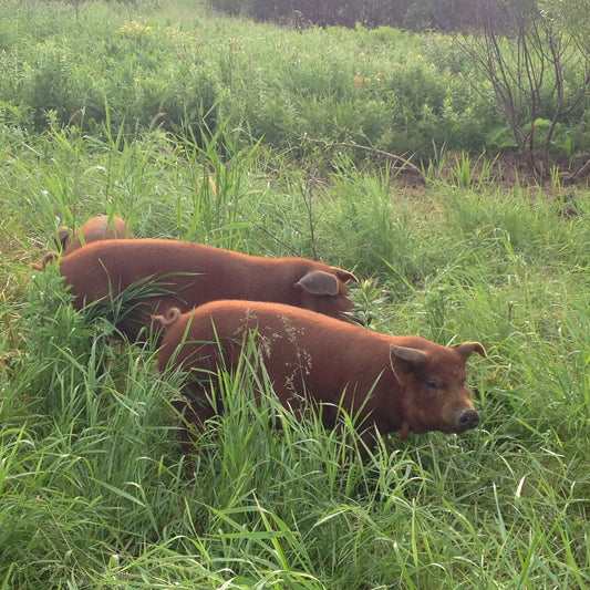 Pork - Fall 2025 - 50% Order Deposit